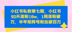 小红书私教第七期，小红书90天涨粉18w，1周涨粉破万，半年矩阵号粉丝破百万-一号资源库