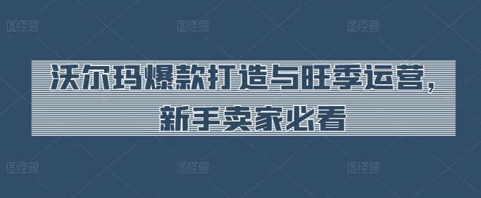 沃尔玛爆款打造与旺季运营，新手卖家必看-一号资源库
