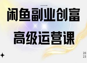 闲鱼电商运营高级课程，一部手机学会闲鱼开店赚钱-一号资源库