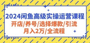 2024闲鱼高级实操运营课程：开店/养号/选择爆款/引流/月入2万/全流程-一号资源库