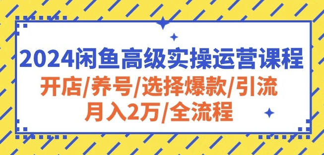 2024闲鱼高级实操运营课程：开店/养号/选择爆款/引流/月入2万/全流程-一号资源库
