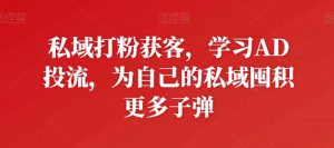 私域打粉获客,学习AD投流,为自己的私域囤积更多子弹-一号资源库