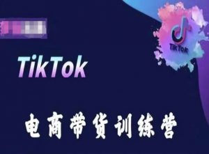 TikTok电商带货训练营，跟随时代潮流，跨境掘金-一号资源库