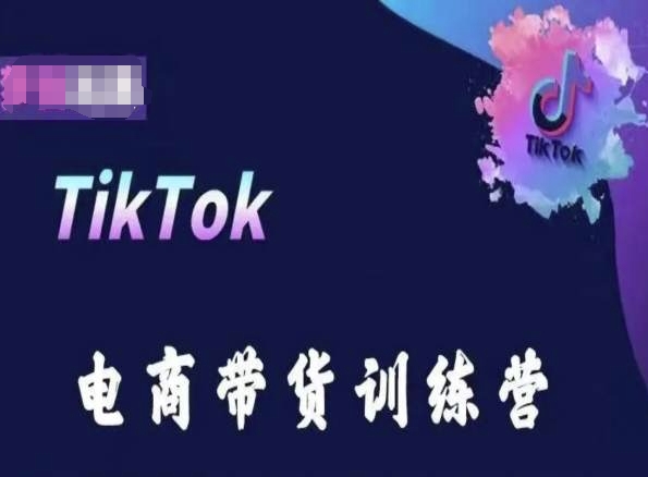TikTok电商带货训练营，跟随时代潮流，跨境掘金-一号资源库
