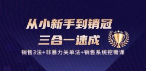 从小新手到销冠 三合一速成：销售3法+非暴力关单法+销售系统挖需课 (27节)-一号资源库