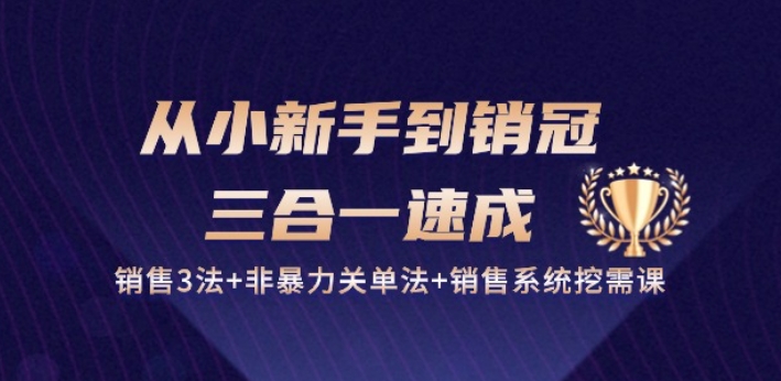 从小新手到销冠 三合一速成：销售3法+非暴力关单法+销售系统挖需课 (27节)-一号资源库