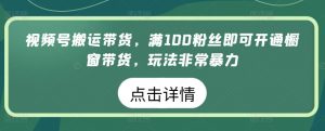 视频号搬运带货，满100粉丝即可开通橱窗带货，玩法非常暴力【揭秘】-一号资源库