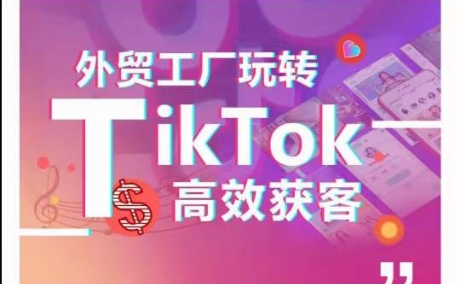 外贸工厂玩转TikTok高效获客，多种引流方式与账号定位技巧，拆解爆款短视频打造成功案例-一号资源库
