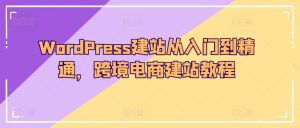 WordPress建站从入门到精通，跨境电商建站教程-一号资源库