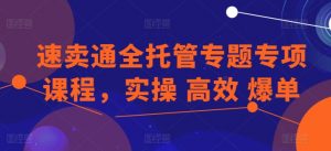 速卖通全托管专题专项课程，实操 高效 爆单-一号资源库