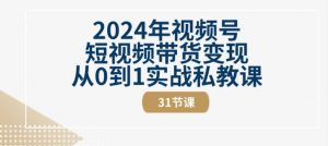 2024年视频号短视频带货变现从0到1实战私教课(31节视频课)-一号资源库