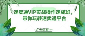 速卖通VIP实战操作速成班，带你玩转速卖通平台-一号资源库