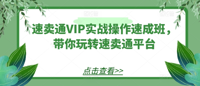 速卖通VIP实战操作速成班，带你玩转速卖通平台-一号资源库