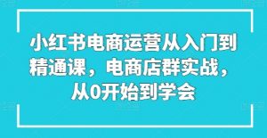 小红书电商运营从入门到精通课，电商店群实战，从0开始到学会-一号资源库