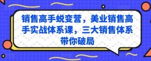 销售高手蜕变营，美业销售高手实战体系课，三大销售体系带你破局-一号资源库