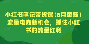 小红书笔记带货课【6月更新】流量电商新机会，抓住小红书的流量红利-一号资源库