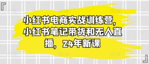 小红书电商实战训练营，小红书笔记带货和无人直播，24年新课-一号资源库