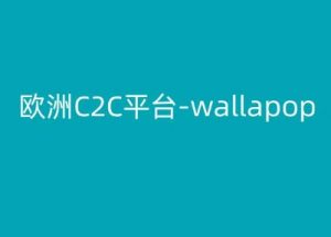欧洲C2C平台-wallapop-kim跨境电商教程-一号资源库