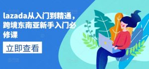 lazada从入门到精通，跨境东南亚新手入门必修课-一号资源库