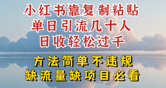 小红书靠复制粘贴单日引流几十人目收轻松过千，方法简单不违规【揭秘】-一号资源库