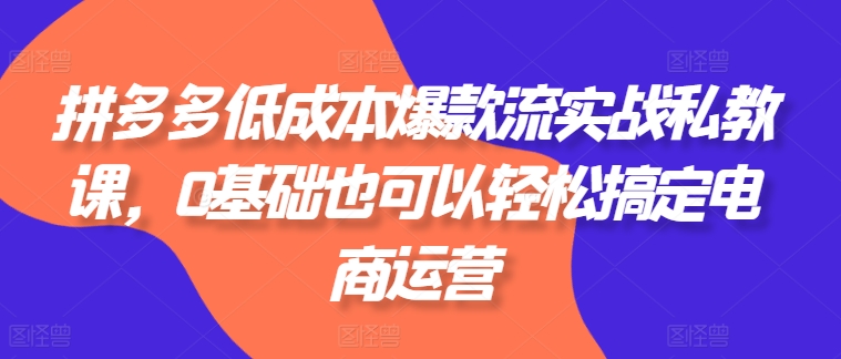 拼多多低成本爆款流实战私教课，0基础也可以轻松搞定电商运营-一号资源库