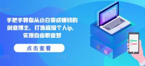 手把手教你从小白变成赚钱的创业博主，打造超级个人ip，实现自由职业梦-一号资源库