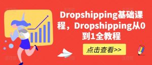 Dropshipping基础课程，Dropshipping从0到1全教程-一号资源库