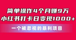 简单操作4个月赚9w,小红书打卡日变现1k,一个被忽视的暴力项目【揭秘】-一号资源库