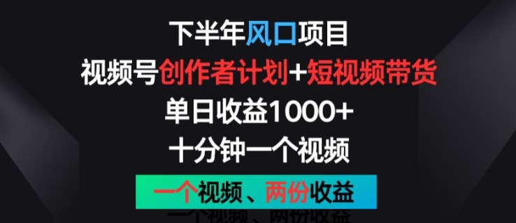 下半年风口项目，视频号创作者计划+视频带货，一个视频两份收益，十分钟一个视频【揭秘】-一号资源库