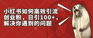 小红书如何高效引流创业粉，日引100+，解决你遇到的问题【揭秘】-一号资源库