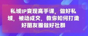 私域IP变现高手课,做好私域,被动成交,教你如何打造好朋友圈做好社群-一号资源库