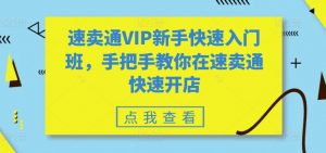 速卖通VIP新手快速入门班，手把手教你在速卖通快速开店-一号资源库