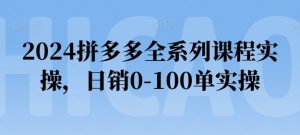2024拼多多全系列课程实操，日销0-100单实操【必看】-一号资源库