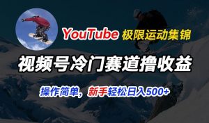 视频号冷门赛道撸收益，YouTube搬运极限运动集锦，暴力起号，操作简单流量高，轻松日入5张【揭秘】-一号资源库