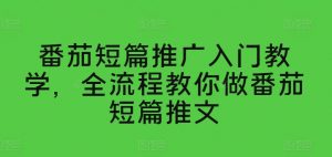 番茄短篇推广入门教学，全流程教你做番茄短篇推文-一号资源库