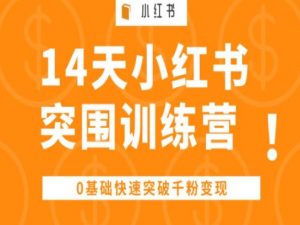 14天小红书突围训练营 ，0基础快速突破千粉变现-一号资源库