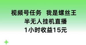 视频号任务,我是螺丝王, 半无人挂机1小时收益15元【揭秘】-一号资源库