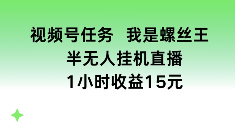 视频号任务，我是螺丝王， 半无人挂机1小时收益15元【揭秘】-一号资源库