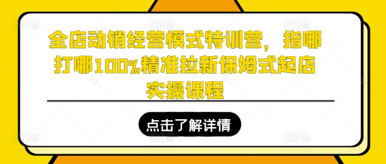 全店动销经营模式特训营，指哪打哪100%精准拉新保姆式起店实操课程-一号资源库