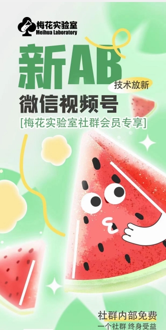 梅花实验室2024年AB技术视频号AB合成破解版-一号资源库