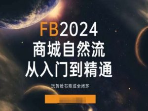 2024Faceboo商城自然流(从入门到精通),玩转脸书商城全闭环-一号资源库