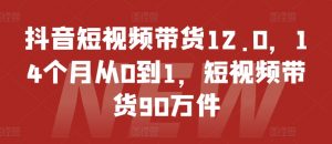 抖音短视频带货12.0，14个月从0到1，短视频带货90万件-一号资源库