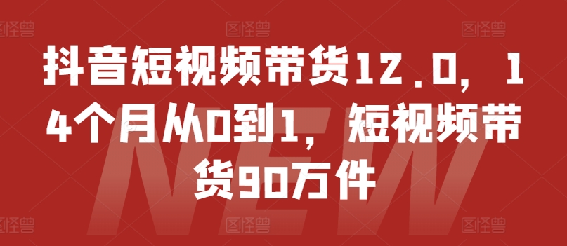抖音短视频带货12.0，14个月从0到1，短视频带货90万件-一号资源库