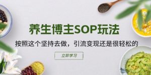 养生博主SOP玩法,按照这个坚持去做,引流变现还是很轻松的-一号资源库