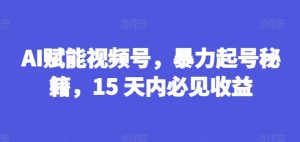AI赋能视频号，暴力起号秘籍，15 天内必见收益【揭秘】-一号资源库