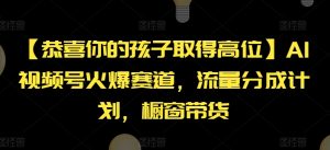 【恭喜你的孩子取得高位】AI视频号火爆赛道，流量分成计划，橱窗带货【揭秘】-一号资源库