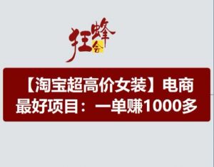 淘宝超高价女装项目，电商最好赛道，一单赚1000多-一号资源库
