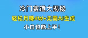 冷门赛道大揭秘，轻松月赚1W+无需AI生成，小白也能上手【揭秘】-一号资源库