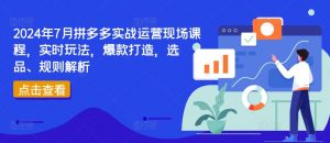 2024年7月拼多多实战运营现场课程，实时玩法，爆款打造，选品、规则解析-一号资源库