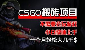 CSGO 装备搬砖项目，操作简单，不需要会玩游戏，小白也能快速上手，一个月轻松大几千【揭秘】-一号资源库